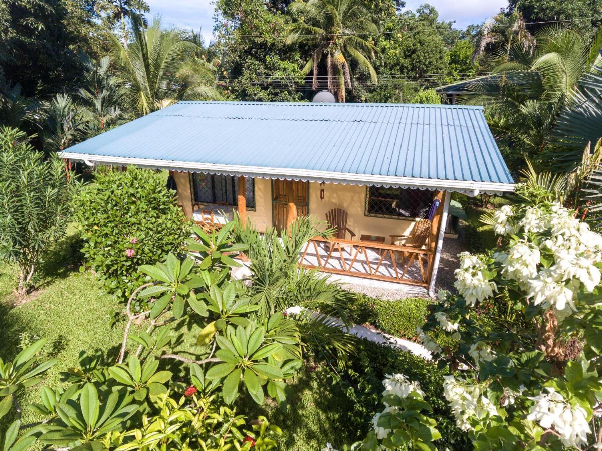 New Caribe Point Villa Cahuita Kültér fotó