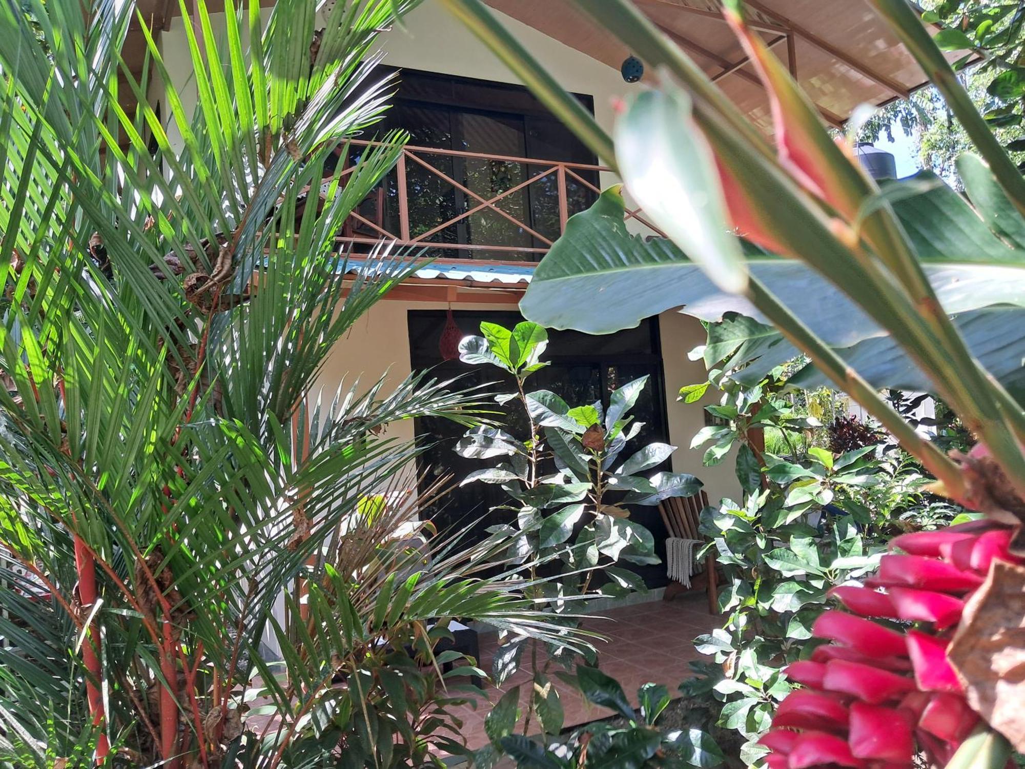 New Caribe Point Villa Cahuita Kültér fotó