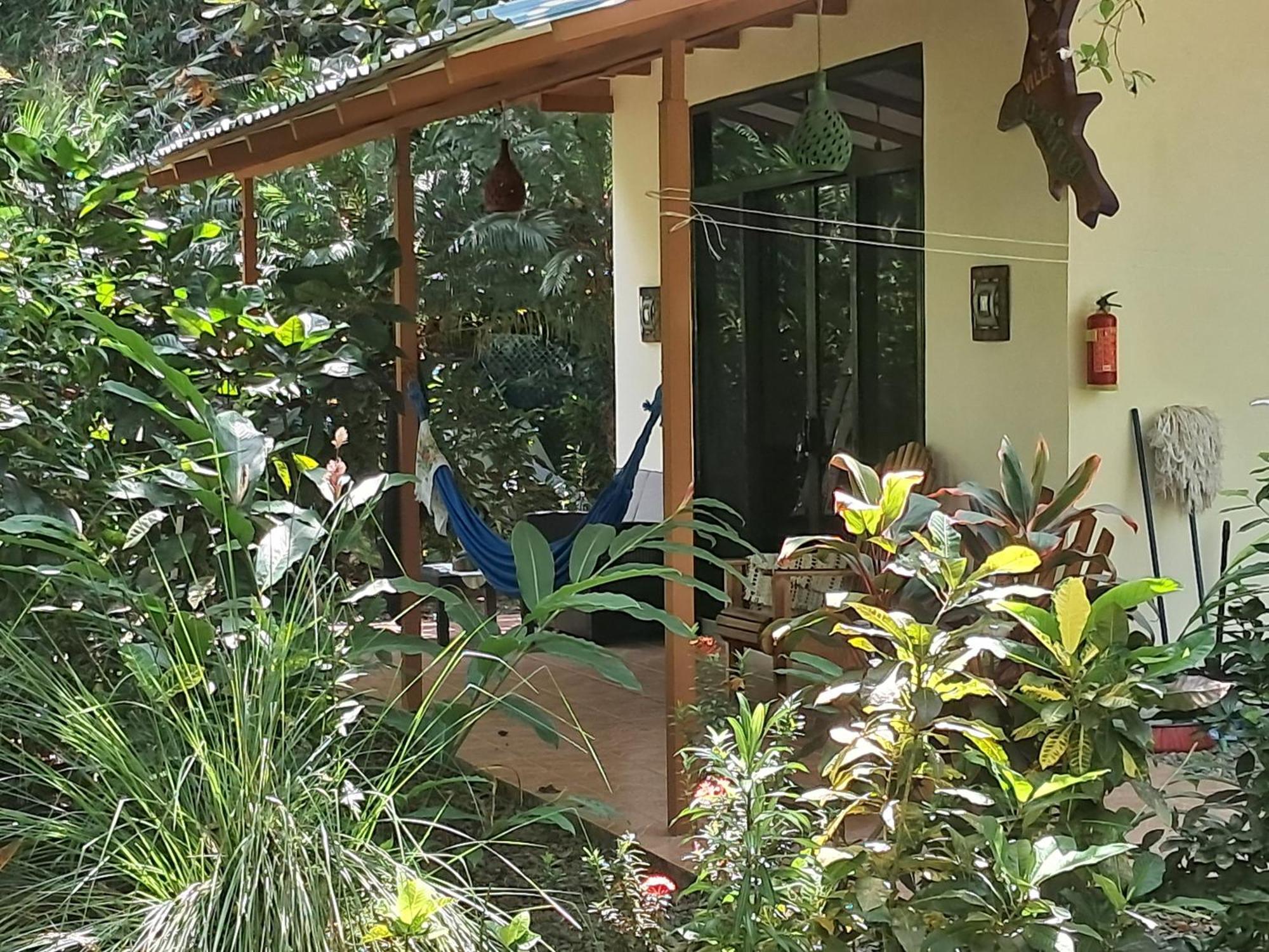 New Caribe Point Villa Cahuita Kültér fotó
