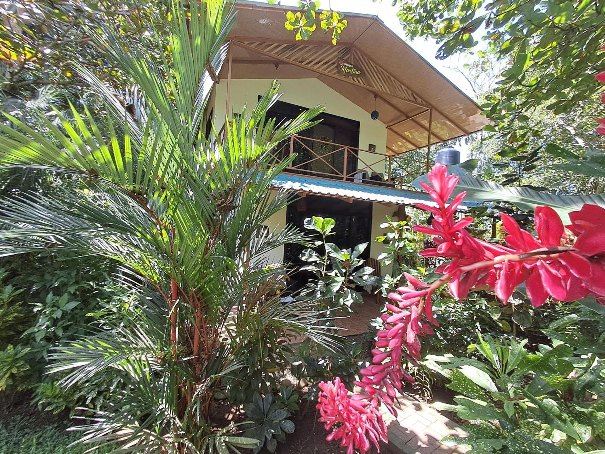 New Caribe Point Villa Cahuita Kültér fotó