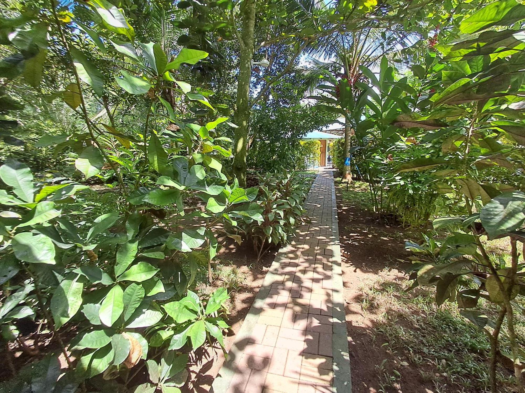 New Caribe Point Villa Cahuita Kültér fotó