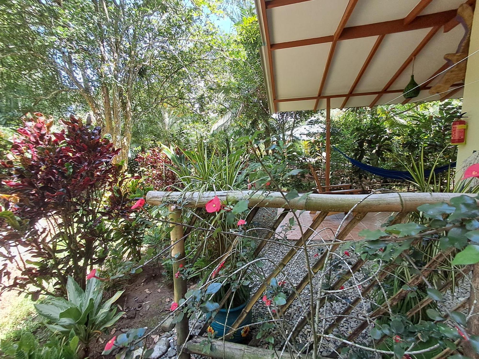 New Caribe Point Villa Cahuita Kültér fotó