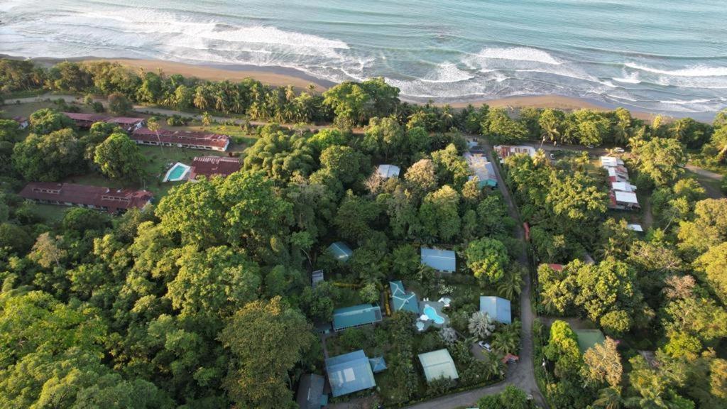 New Caribe Point Villa Cahuita Kültér fotó