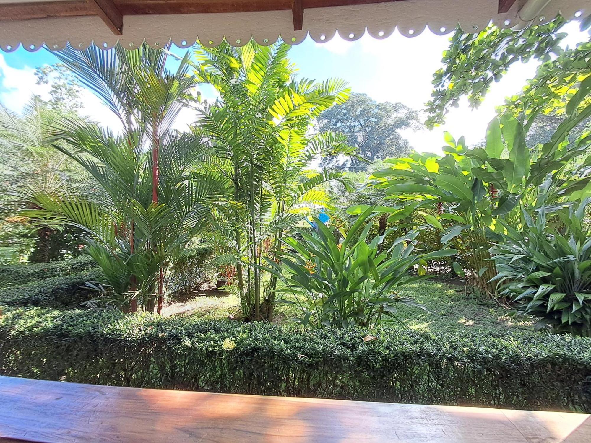 New Caribe Point Villa Cahuita Kültér fotó