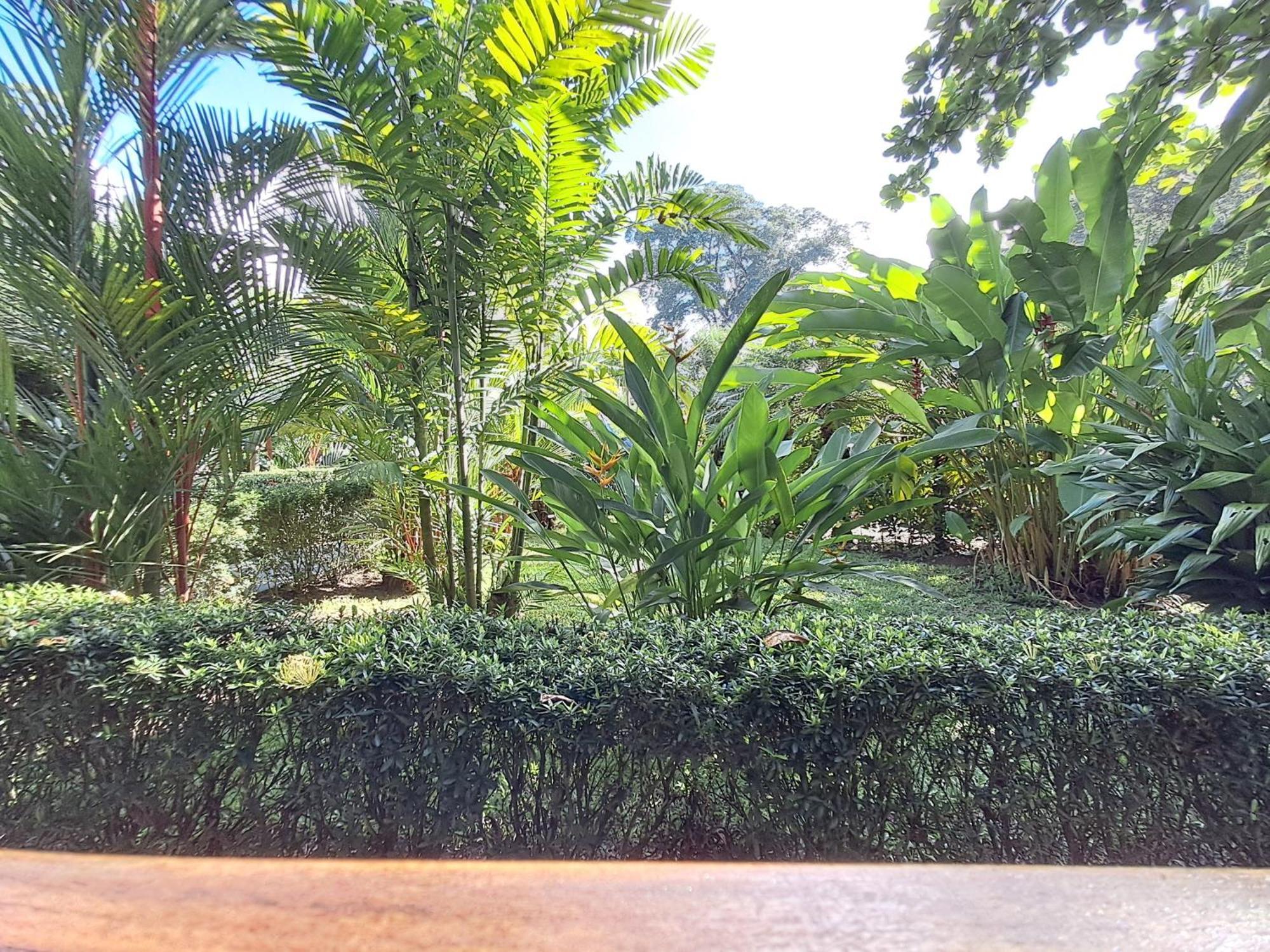 New Caribe Point Villa Cahuita Kültér fotó