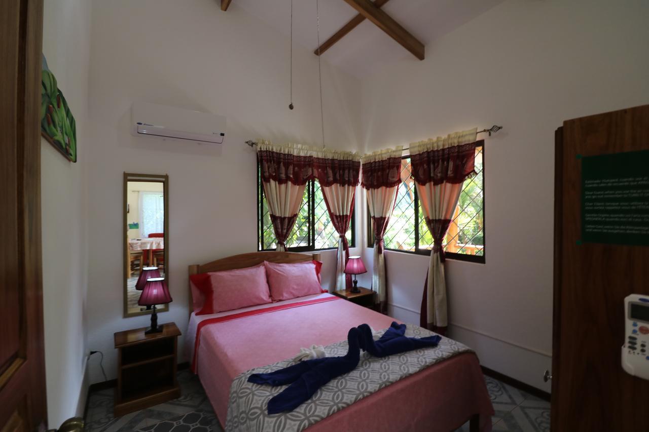 New Caribe Point Villa Cahuita Kültér fotó