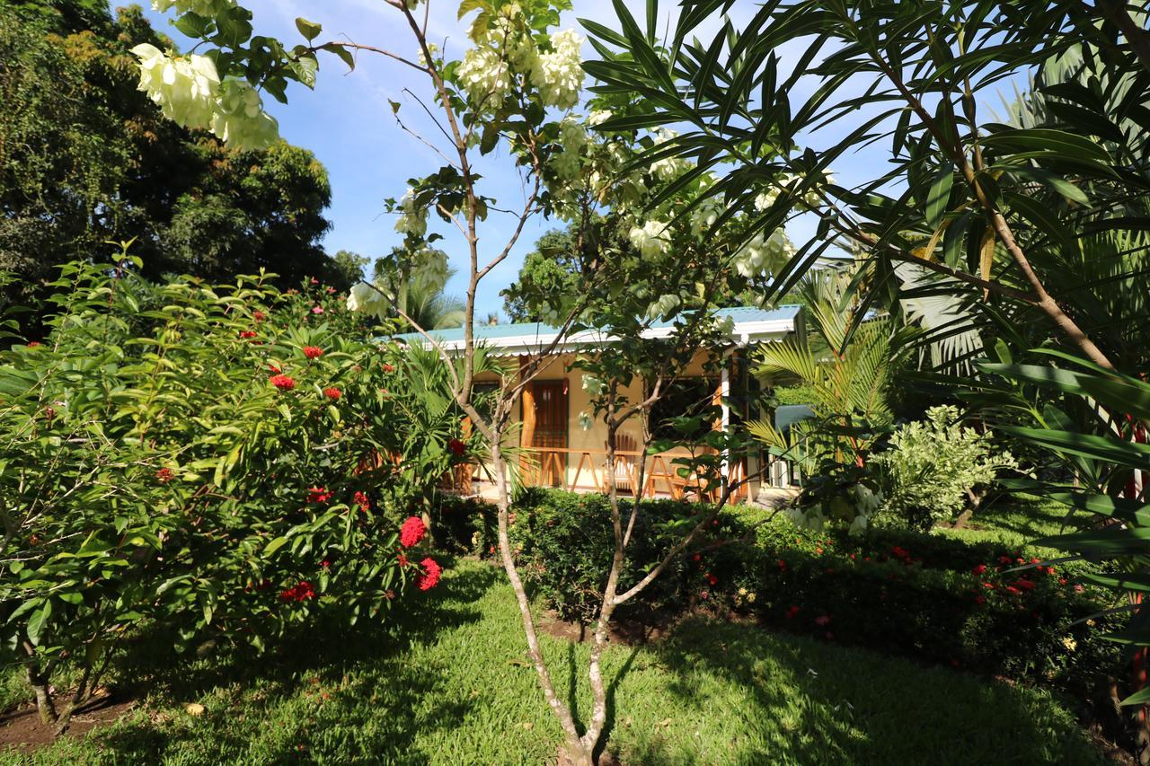 New Caribe Point Villa Cahuita Kültér fotó