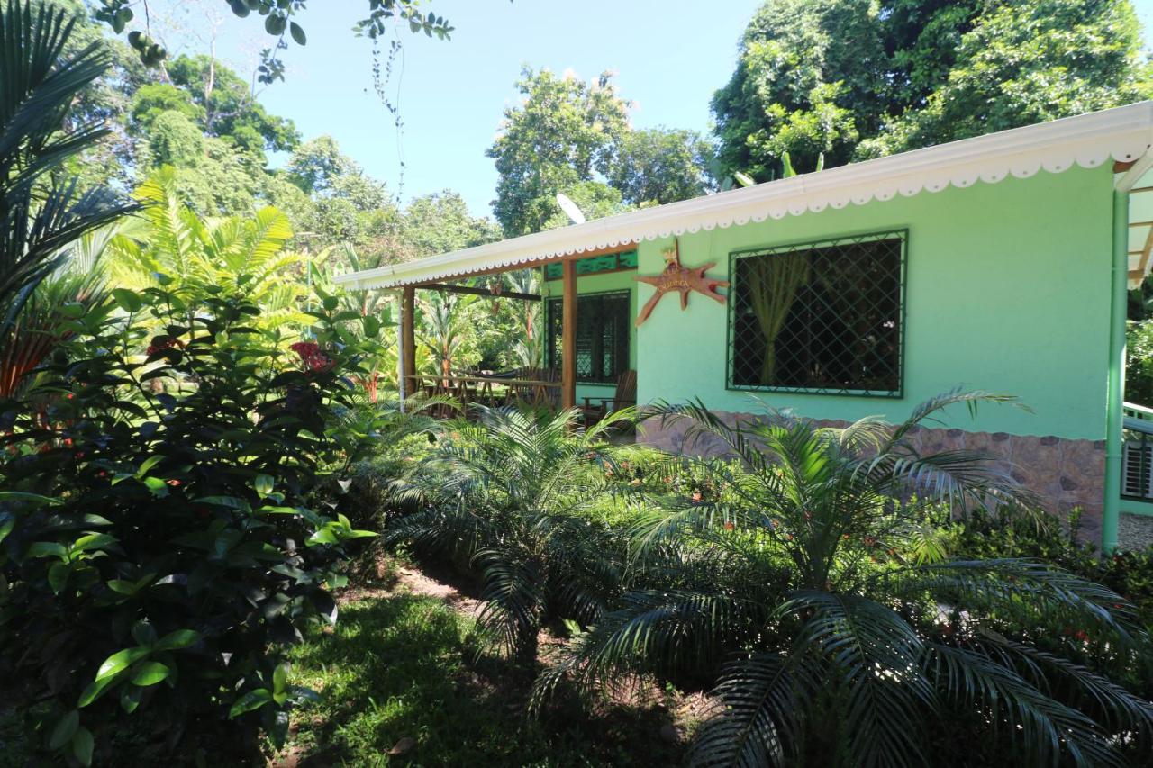 New Caribe Point Villa Cahuita Kültér fotó